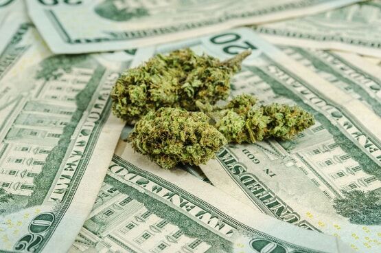 marijuana on top of money